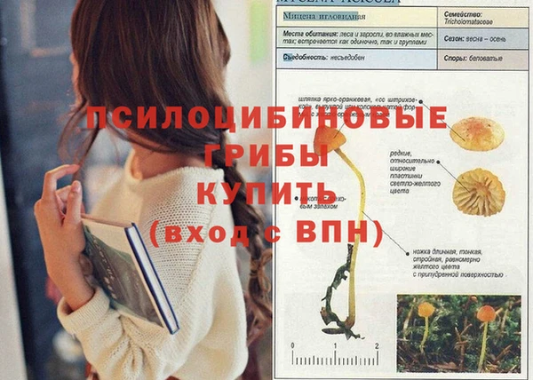 mdpv Алзамай